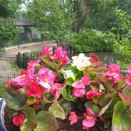 Apartman Poezelhoekvallei Zonnebeke