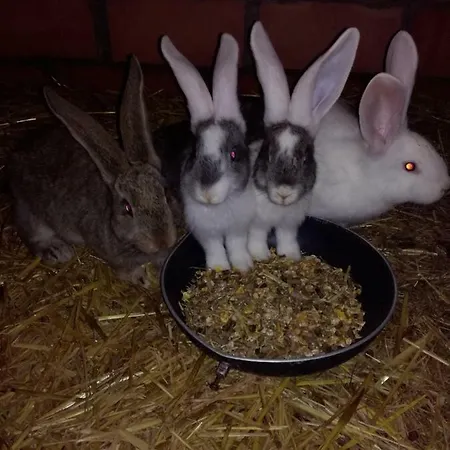 Appartement Poezelhoekvallei